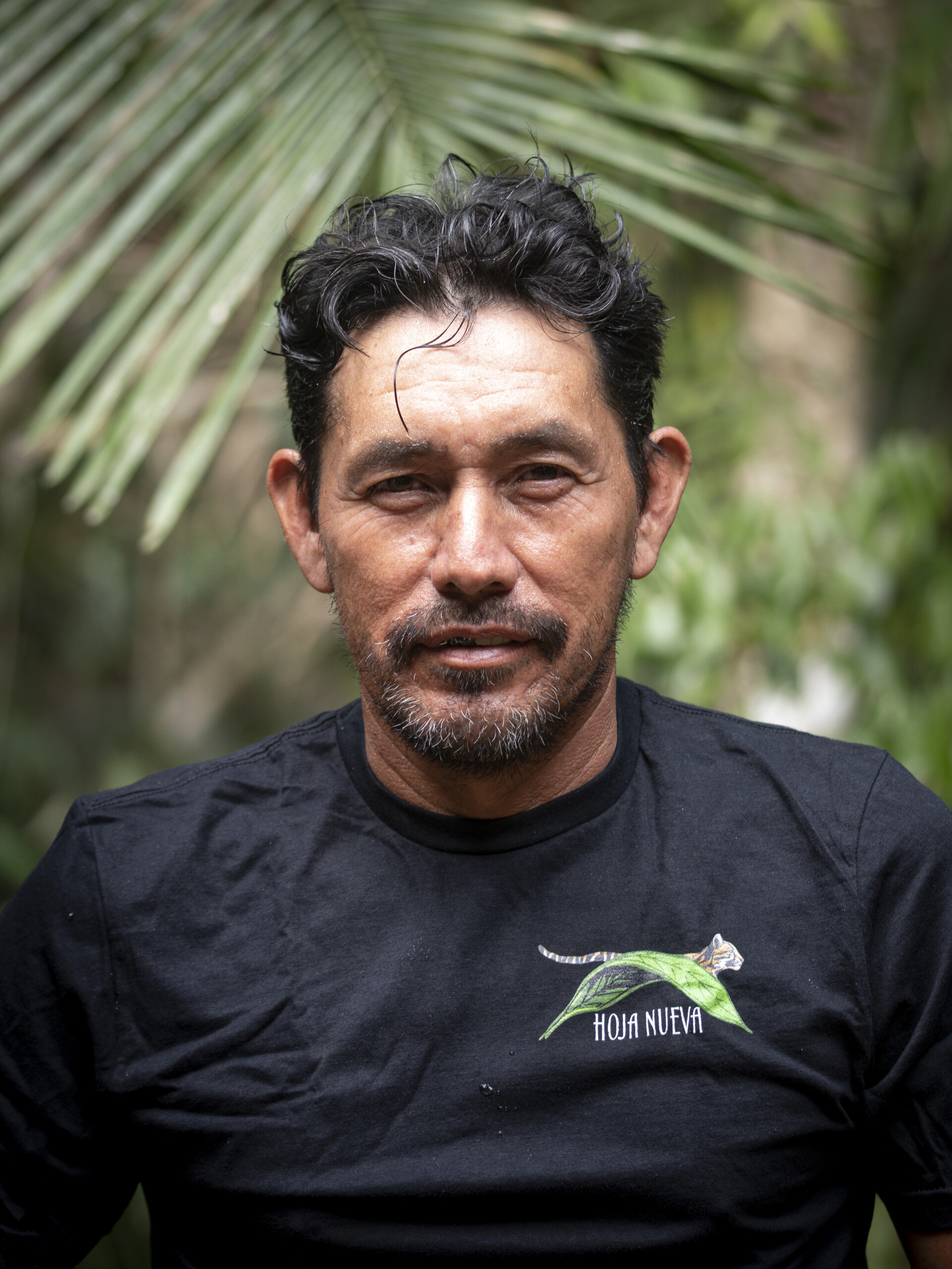 Herber Guerra - Hoja Nueva