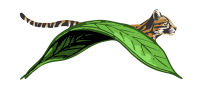 Hoja Nueva_Logo (white letters)